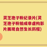 灵芝孢子粉纪录片(灵芝孢子粉拍成非虚构影片展现自然生长历程)