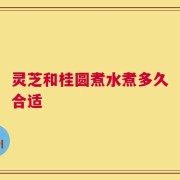 灵芝和桂圆煮水煮多久合适