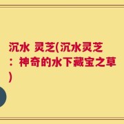 沉水 灵芝(沉水灵芝：神奇的水下藏宝之草)