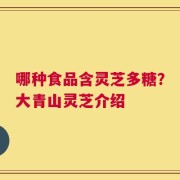 哪种食品含灵芝多糖？大青山灵芝介绍