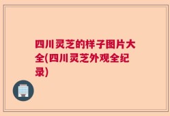 四川灵芝的样子图片大全(四川灵芝外观全纪录)