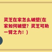 灵芝在家怎么破壁(在家如何破壁？灵芝可助一臂之力！)