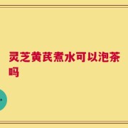 灵芝黄芪煮水可以泡茶吗