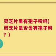 灵芝片里有孢子粉吗(灵芝片是否含有孢子粉？)