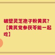 破壁灵芝孢子粉黄芪？【黄芪党参茯苓能一起吃】