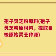 孢子灵芝粉原料(孢子灵芝粉原材料，提取自极原始灵芝种源)