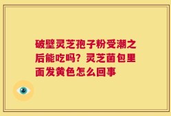 破壁灵芝孢子粉受潮之后能吃吗？灵芝菌包里面发黄色怎么回事