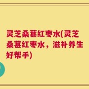 灵芝桑葚红枣水(灵芝桑葚红枣水，滋补养生好帮手)