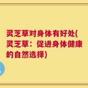 灵芝草对身体有好处(灵芝草：促进身体健康的自然选择)