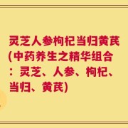 灵芝人参枸杞当归黄芪(中药养生之精华组合：灵芝、人参、枸杞、当归、黄芪)
