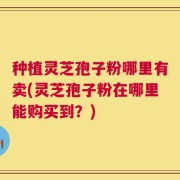 种植灵芝孢子粉哪里有卖(灵芝孢子粉在哪里能购买到？)