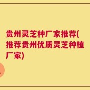 贵州灵芝种厂家推荐(推荐贵州优质灵芝种植厂家)