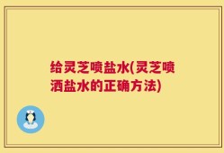 给灵芝喷盐水(灵芝喷洒盐水的正确方法)