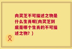 肉灵芝不可描述之物是什么生肖呢(肉灵芝到底是哪个生肖的不可描述之物？)