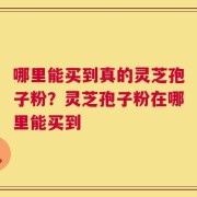 哪里能买到真的灵芝孢子粉？灵芝孢子粉在哪里能买到