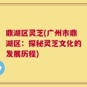 鼎湖区灵芝(广州市鼎湖区：探秘灵芝文化的发展历程)