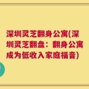深圳灵芝翻身公寓(深圳灵芝翻盘：翻身公寓成为低收入家庭福音)