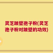 灵芝跛壁孢子粉(灵芝孢子粉对跛壁的功效)