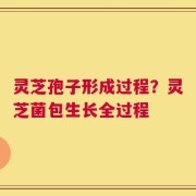 灵芝孢子形成过程？灵芝菌包生长全过程