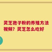 灵芝孢子粉的养殖方法视频？灵芝怎么吃好