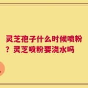 灵芝孢子什么时候喷粉？灵芝喷粉要浇水吗