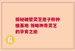 探秘破壁灵芝孢子粉种植基地 领略神奇灵芝的孕育之旅