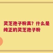 灵芝孢子粉真？什么是纯正的灵芝孢子粉