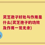 灵芝孢子好处与作用是什么(灵芝孢子的功效及作用一览无余)