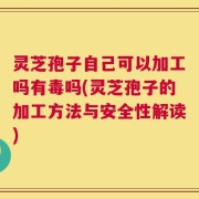 灵芝孢子自己可以加工吗有毒吗(灵芝孢子的加工方法与安全性解读)
