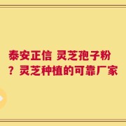 泰安正信 灵芝孢子粉？灵芝种植的可靠厂家