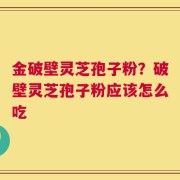 金破壁灵芝孢子粉？破壁灵芝孢子粉应该怎么吃