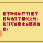 孢子粉像油豆子(孢子粉与油豆子相似之处：他们可都是来自菌类植物)