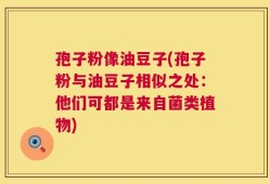 孢子粉像油豆子(孢子粉与油豆子相似之处：他们可都是来自菌类植物)