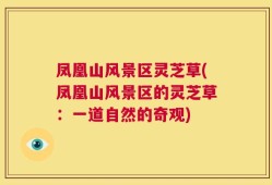 凤凰山风景区灵芝草(凤凰山风景区的灵芝草：一道自然的奇观)