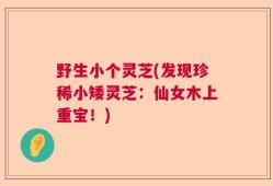 野生小个灵芝(发现珍稀小矮灵芝：仙女木上重宝！)