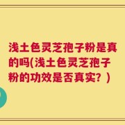 浅土色灵芝孢子粉是真的吗(浅土色灵芝孢子粉的功效是否真实？)