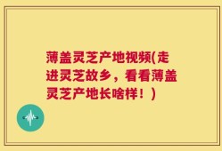 薄盖灵芝产地视频(走进灵芝故乡，看看薄盖灵芝产地长啥样！)