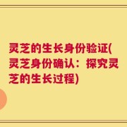 灵芝的生长身份验证(灵芝身份确认：探究灵芝的生长过程)