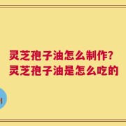灵芝孢子油怎么制作？灵芝孢子油是怎么吃的