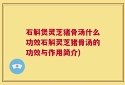 石斛煲灵芝猪骨汤什么功效石斛灵芝猪骨汤的功效与作用简介)
