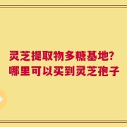 灵芝提取物多糖基地？哪里可以买到灵芝孢子