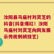 汝阳县马庙村刘灵芝的抖音(抖音爆红！汝阳马庙村刘灵芝向网友展示传统刺绣技艺)