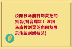 汝阳县马庙村刘灵芝的抖音(抖音爆红！汝阳马庙村刘灵芝向网友展示传统刺绣技艺)