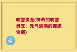 吹雪灵芝(神奇的吹雪灵芝：元气满满的健康宝藏)
