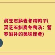 灵芝石斛麦冬炖鸭子(灵芝石斛麦冬鸭汤：营养滋补的美味佳肴)