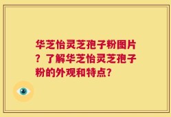 华芝怡灵芝孢子粉图片？了解华芝怡灵芝孢子粉的外观和特点？