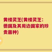 黄楼灵芝(黄楼灵芝：德国及其周边国家的珍贵菌种)