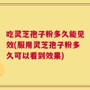 吃灵芝孢子粉多久能见效(服用灵芝孢子粉多久可以看到效果)