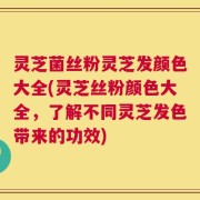 灵芝菌丝粉灵芝发颜色大全(灵芝丝粉颜色大全，了解不同灵芝发色带来的功效)