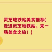 灵芝地铁站美食推荐(走进灵芝地铁站，来一场美食之旅！)